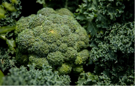Nutritious broccoli florets surrounded by kale.