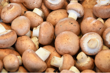 Pile of delicious, nutrient rich mushrooms.