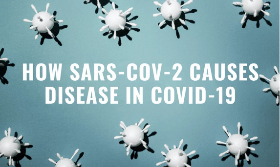 Covid viruses on blue background.
