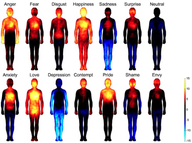 How do emotions affect our body?